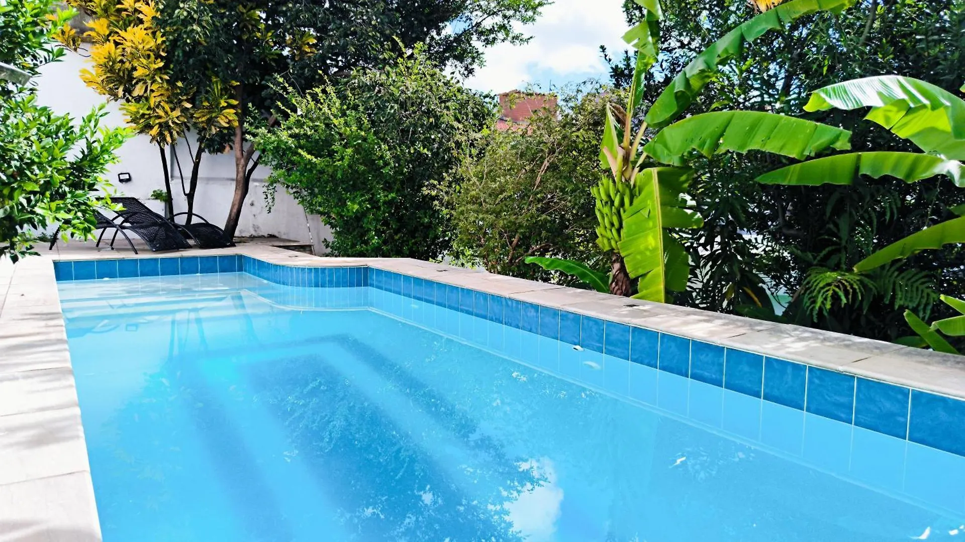 Piscina E Muito Verde Na Vila Madalena Villa São Paulo